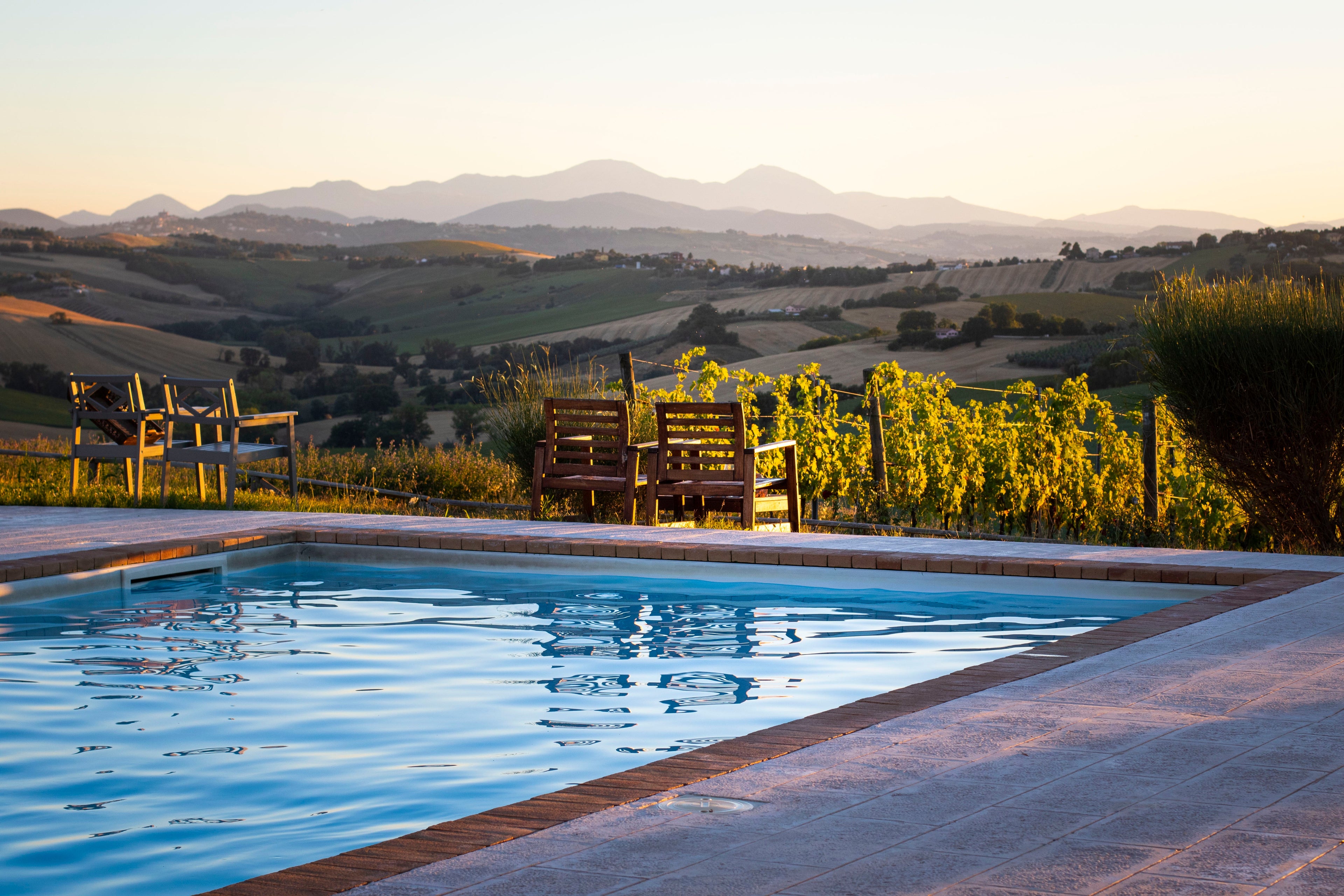 Tenuta San Marcello - “Tanta voglia di conoscere” Marche Tenuta San Marcello