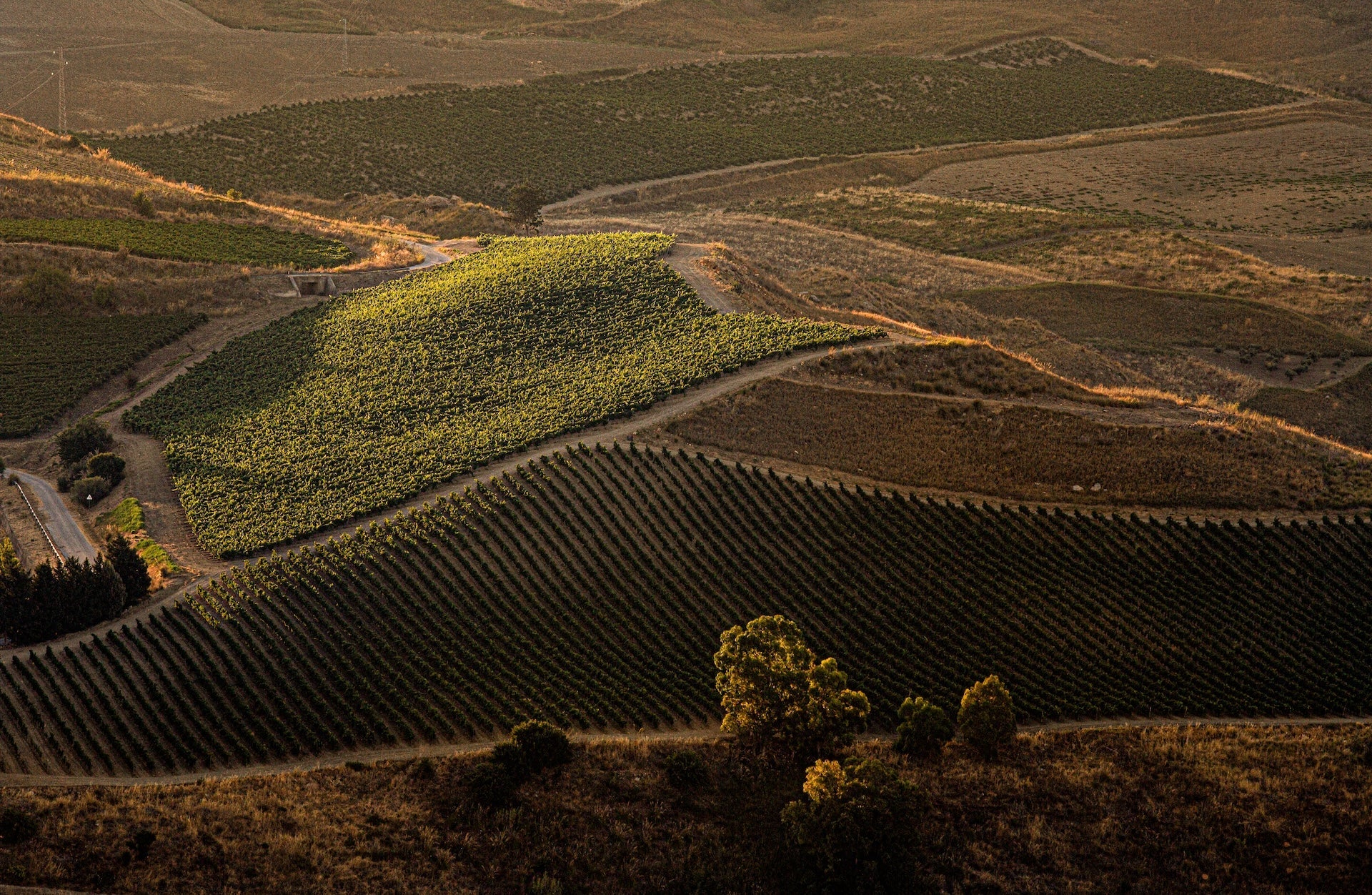Tonnino - Selezionati in vigna Sicilia Tonnino