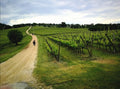 Arnaldo Caprai - Sfumature di Montefalco Umbria Arnaldo Caprai