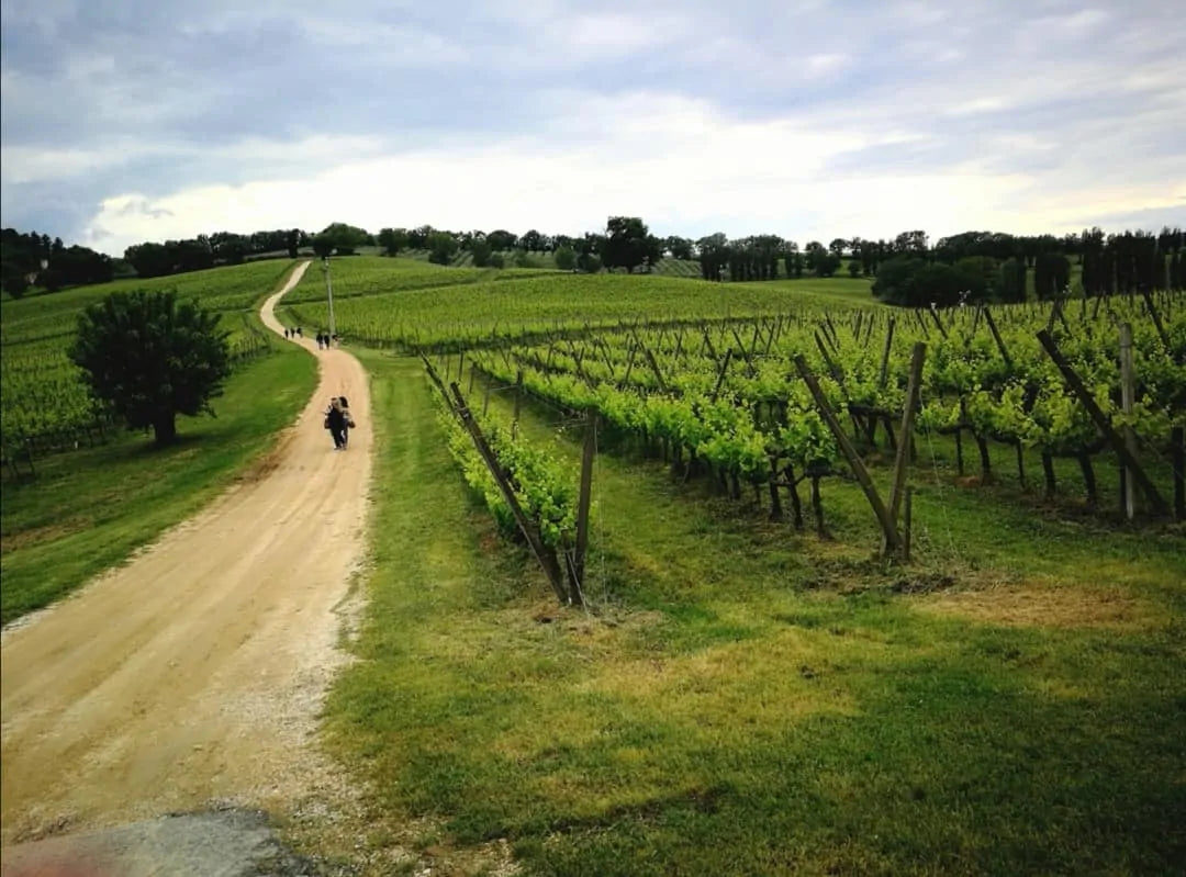 Arnaldo Caprai - Sfumature di Montefalco Umbria Arnaldo Caprai