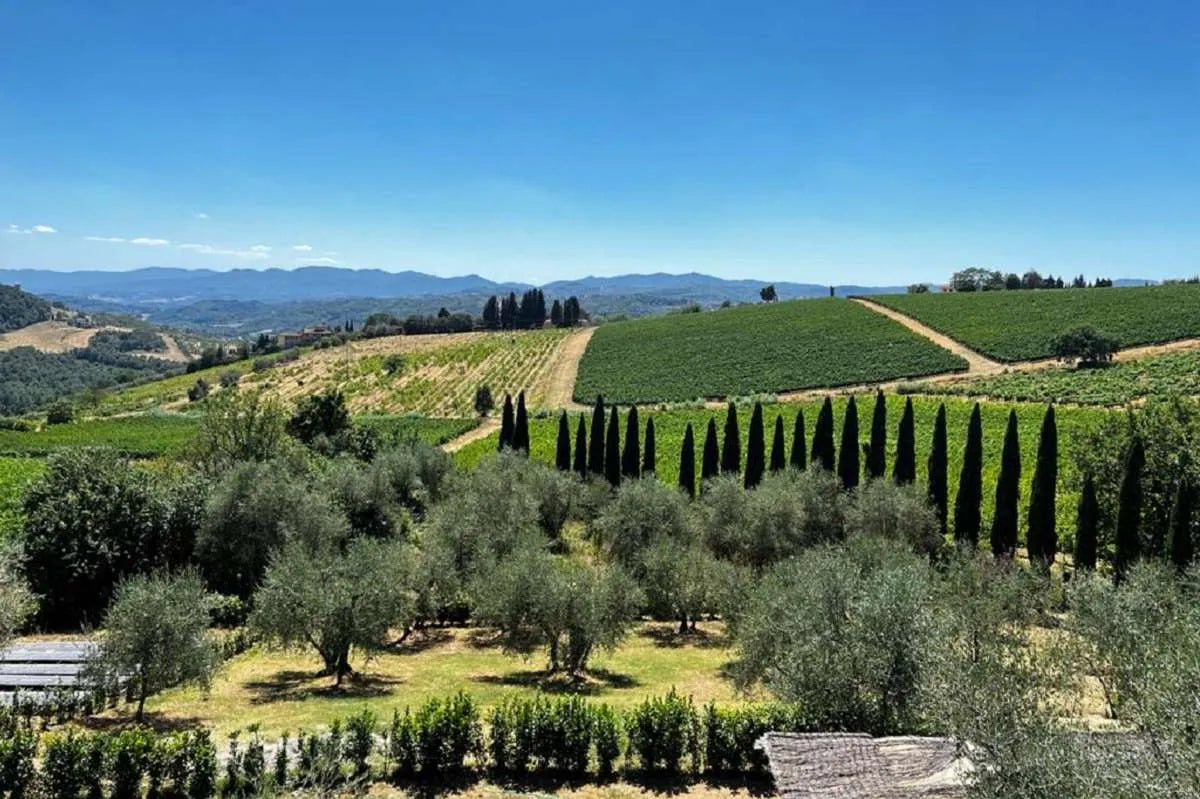 Travignoli - Classic Travignoli Toscana Travignoli