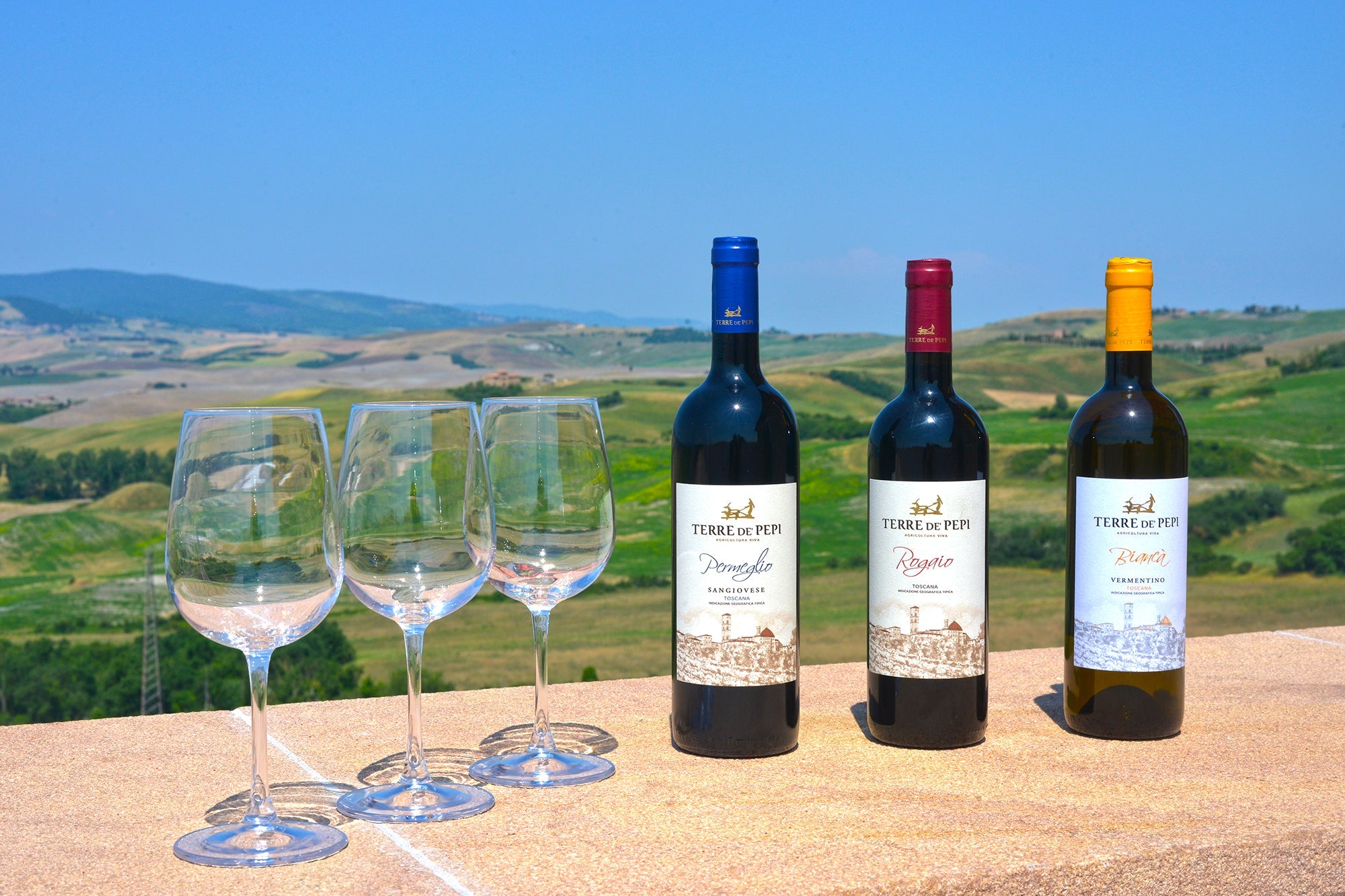 Terre de Pepi - Vini di Volterra: emozioni sensoriali di agricoltura VIVA Toscana Terre de Pepi