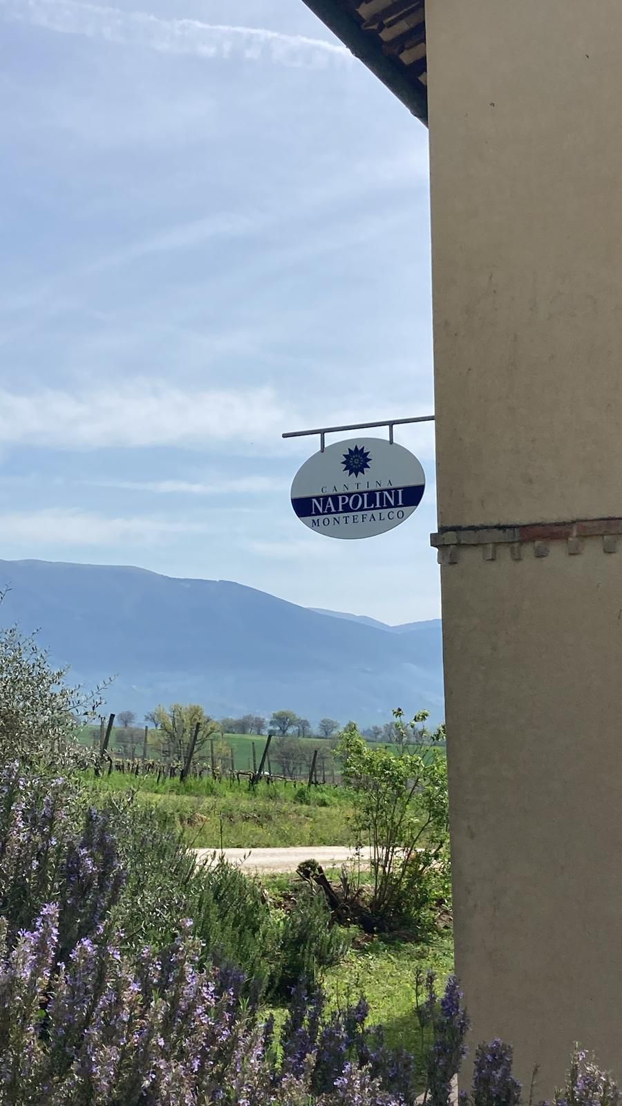 Cantina Napolini - Degustazione Classica Umbria Cantina Napolini
