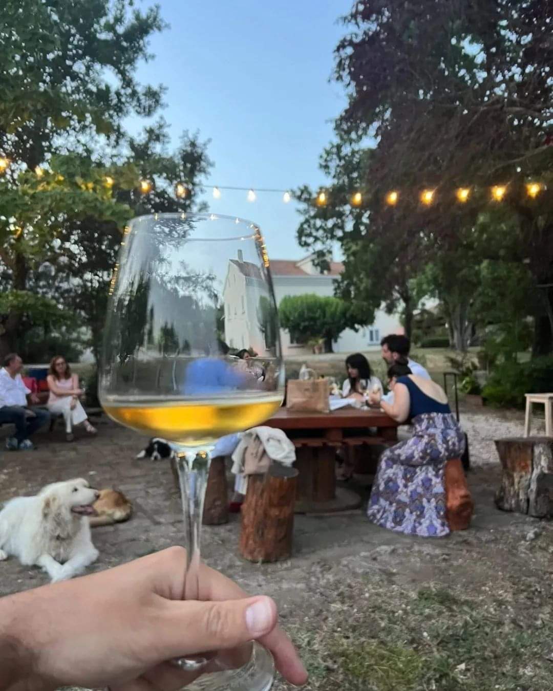 AlePa - Degustazione in Campagna Campania AlePa