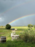 Sassotondo - kaos vulcanico Toscana Sassotondo