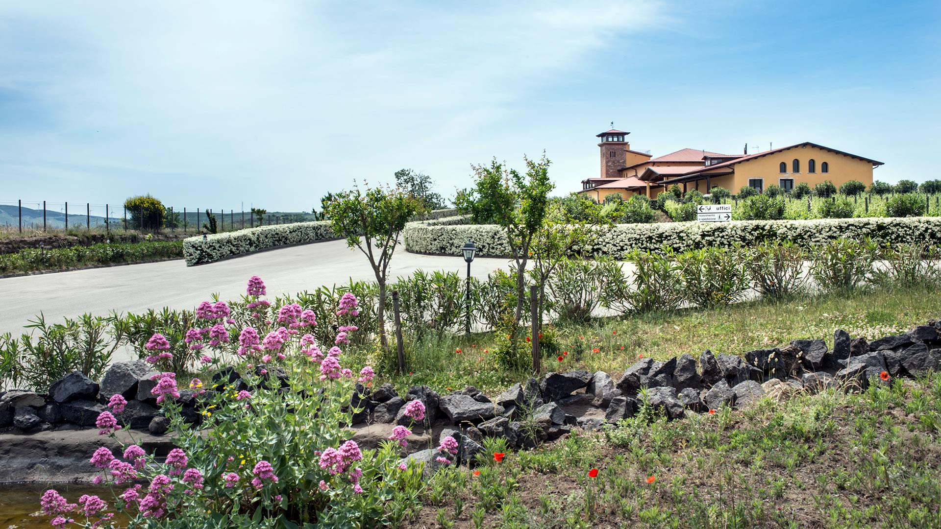 Cantine del Notaio - Il Cuore Lucano Basilicata Cantine del Notaio