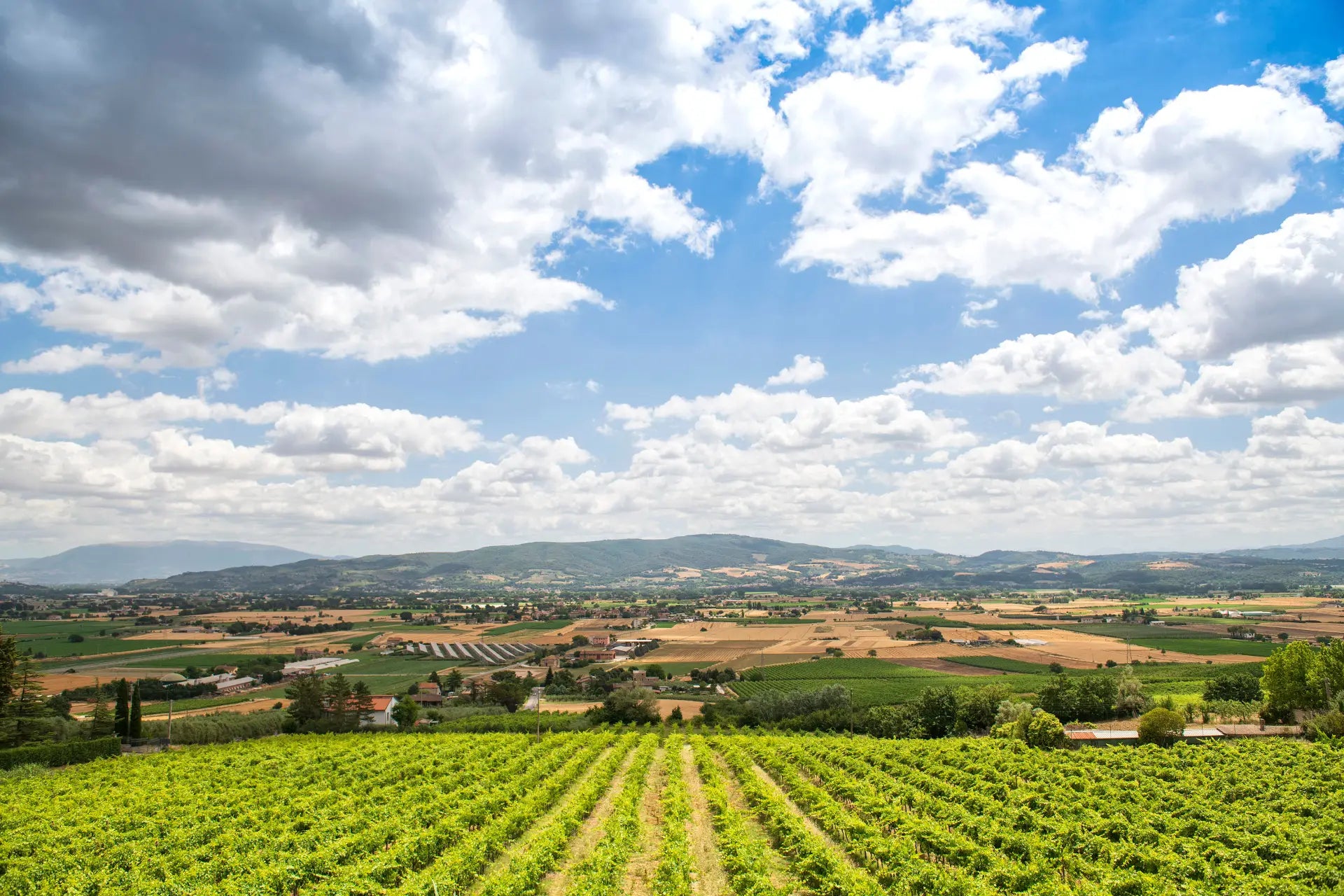 Chiorri - Degustazione classica Umbria Chiorri