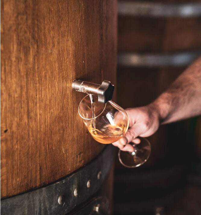 Tenuta L'Armonia - Degustazione con il Vignaiolo Veneto Tenuta L'Armonia