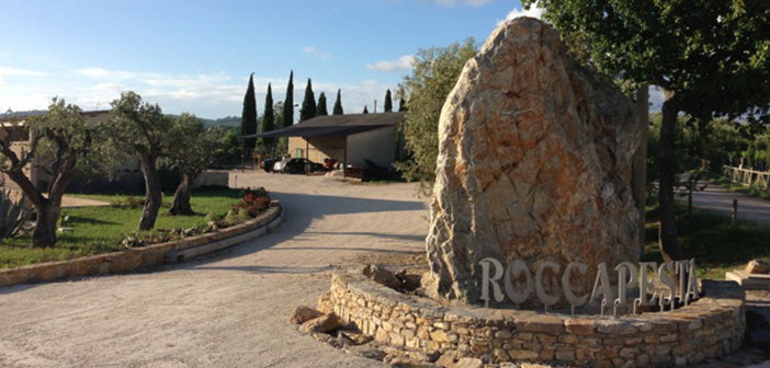 Cantina Roccapesta - Degustazione & Visita Toscana Cantina Roccapesta