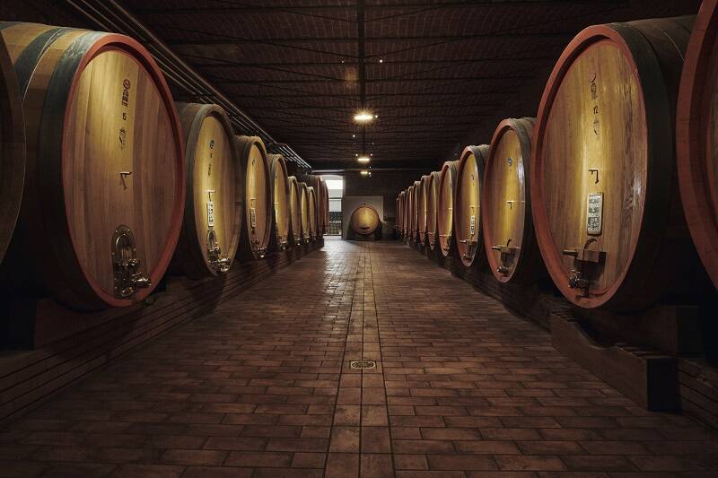 Scarpa Winery - Le Langhe secondo Scarpa Piemonte Scarpa