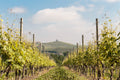 Cascina Pugnane - Barolo Soggiorno & Wine experience Piemonte Cascina Pugnane