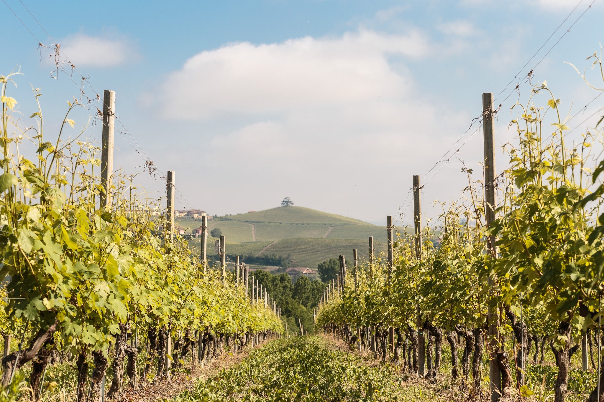Cascina Pugnane - Barolo Soggiorno & Wine experience Piemonte Cascina Pugnane