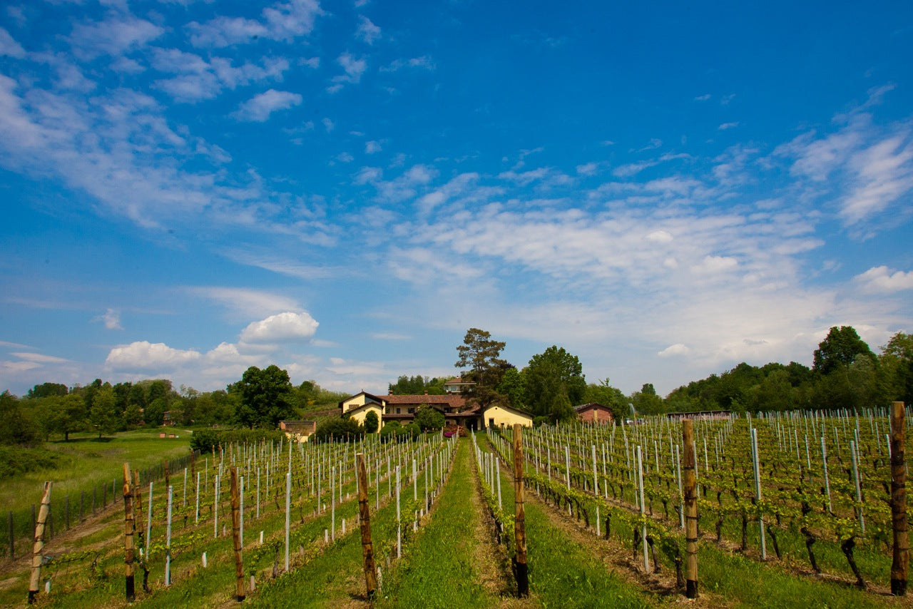 Ca' Nova - Soggiorno e Degustazione Piemonte Ca' Nova