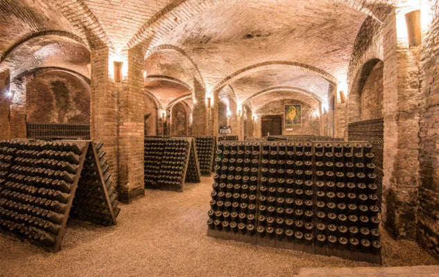 Soggiorno & Degustazione in Wine Resort - Piemonte Piemonte Piemonte