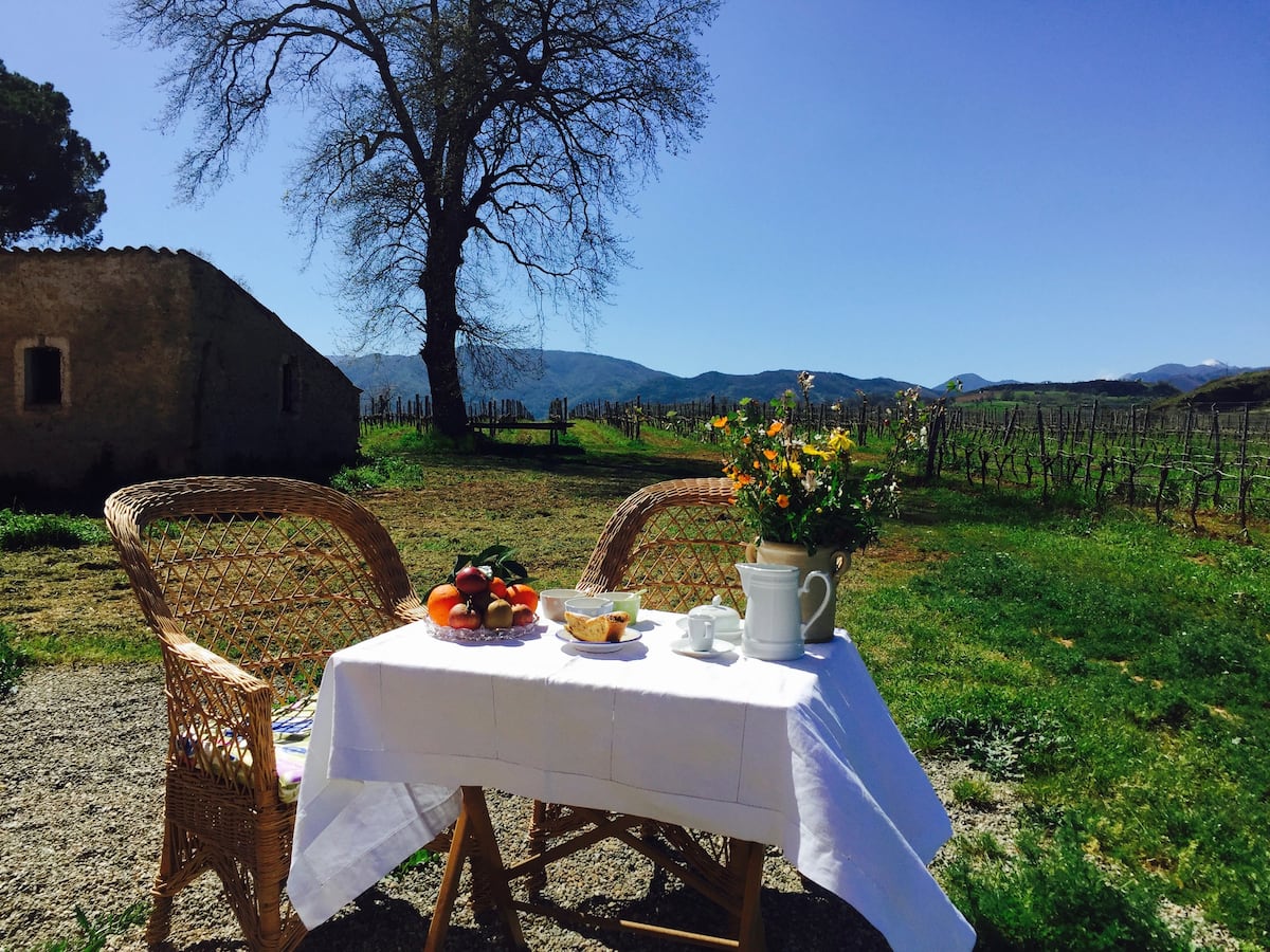 Tenuta Pacelli - Pranzo in vigna & Degustazione Calabria Tenuta Pacelli