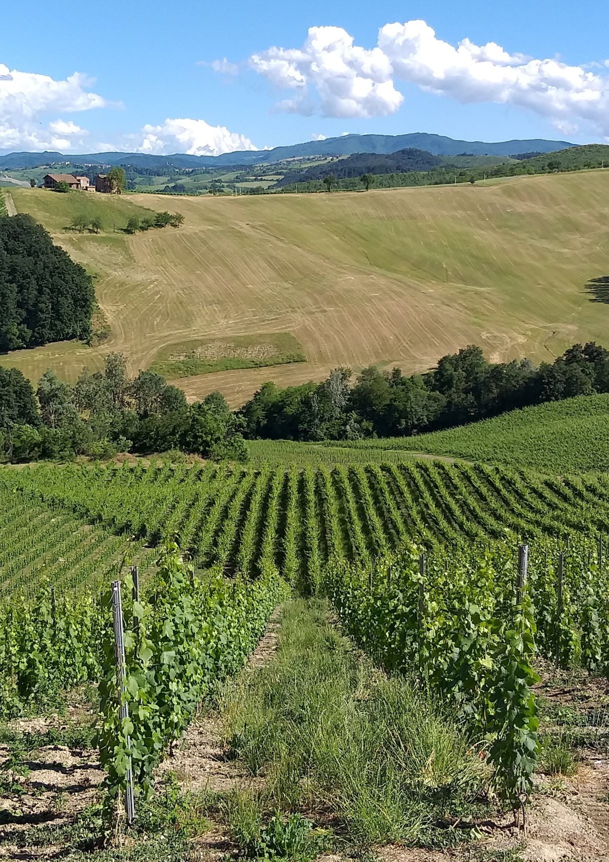 Lefiole - Il lato femminile dell'Oltrepò Pavese Lombardia Lefiole