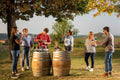 PQlin Winery - ROERO 100% Piemonte PQlin Winery