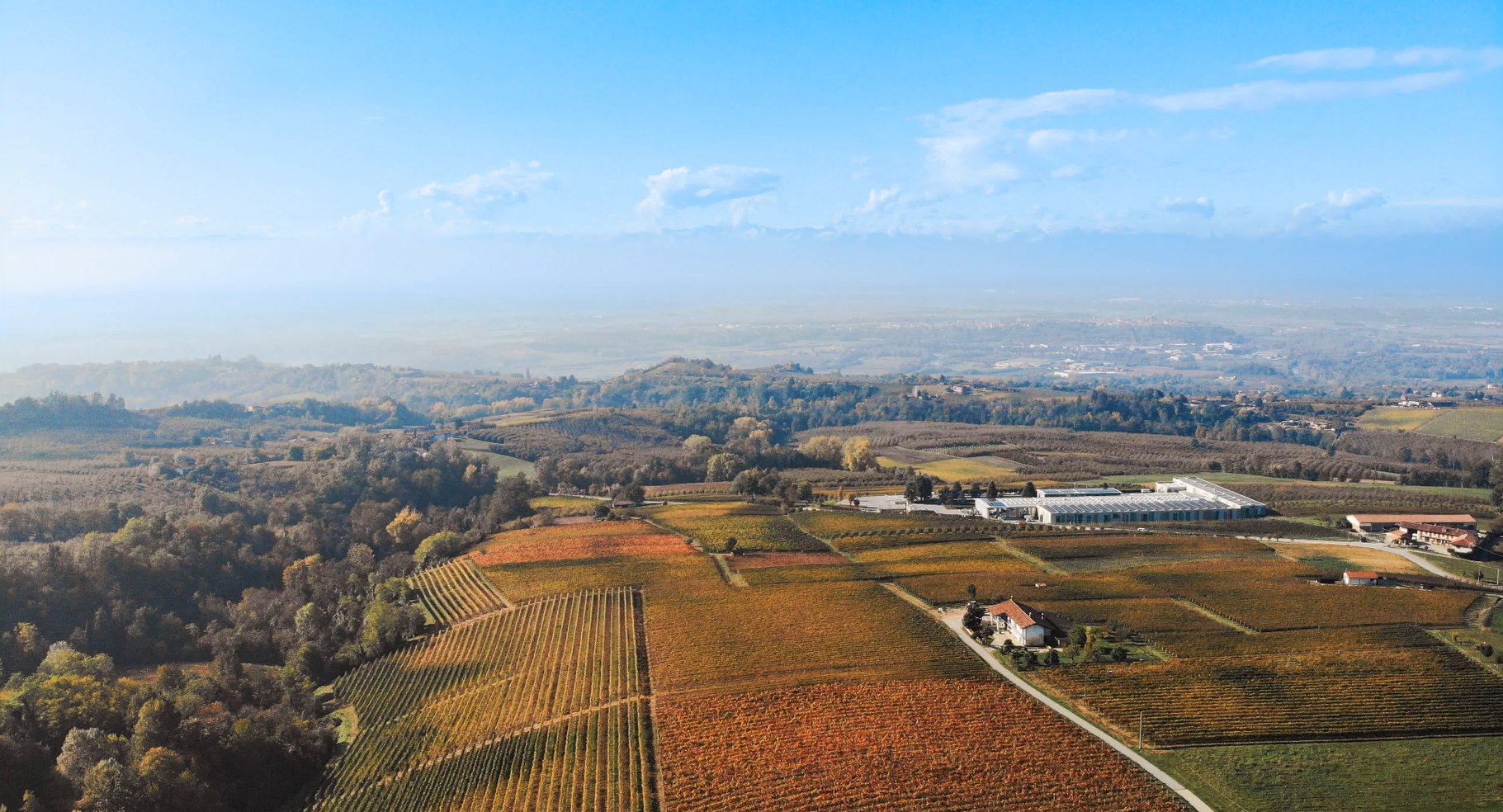 Dosio Vigneti - Picnic in vigna Piemonte Dosio Vigneti