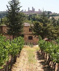 Arrigoni 1913 - Degustazione 3 Vini Toscana Arrigoni 1913