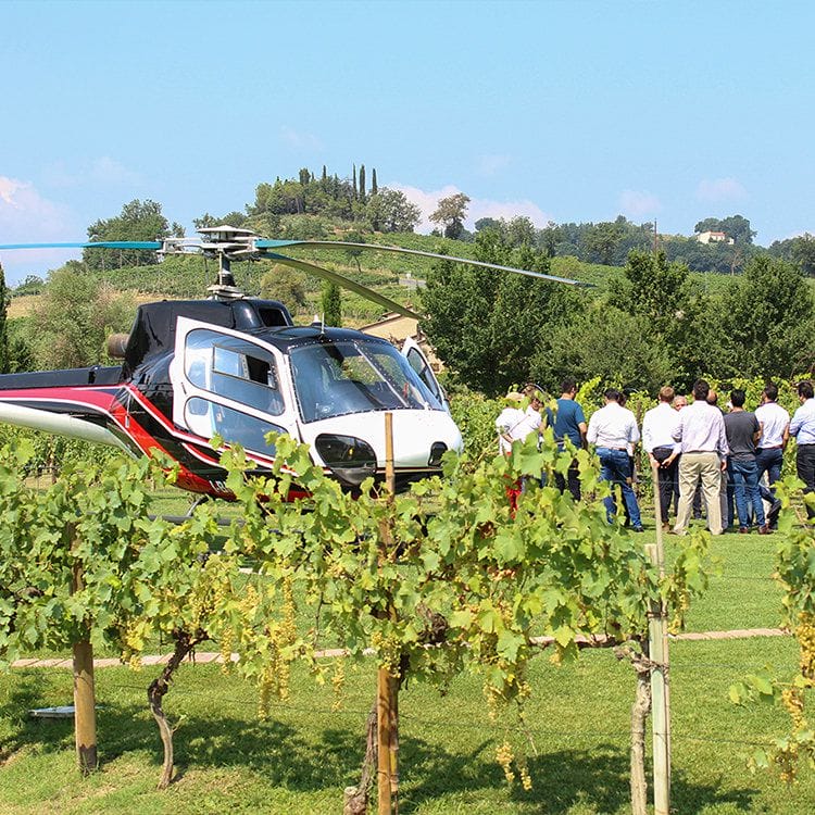 Torciano Winery - Tour in Elicottero & Degustazione Toscana Torciano Winery