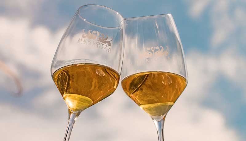 Merlotta - Wine tour e degustazione verticali annate storiche Emilia Romagna Merlotta