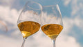 Merlotta - Wine tour e degustazione verticali annate storiche Emilia Romagna Merlotta