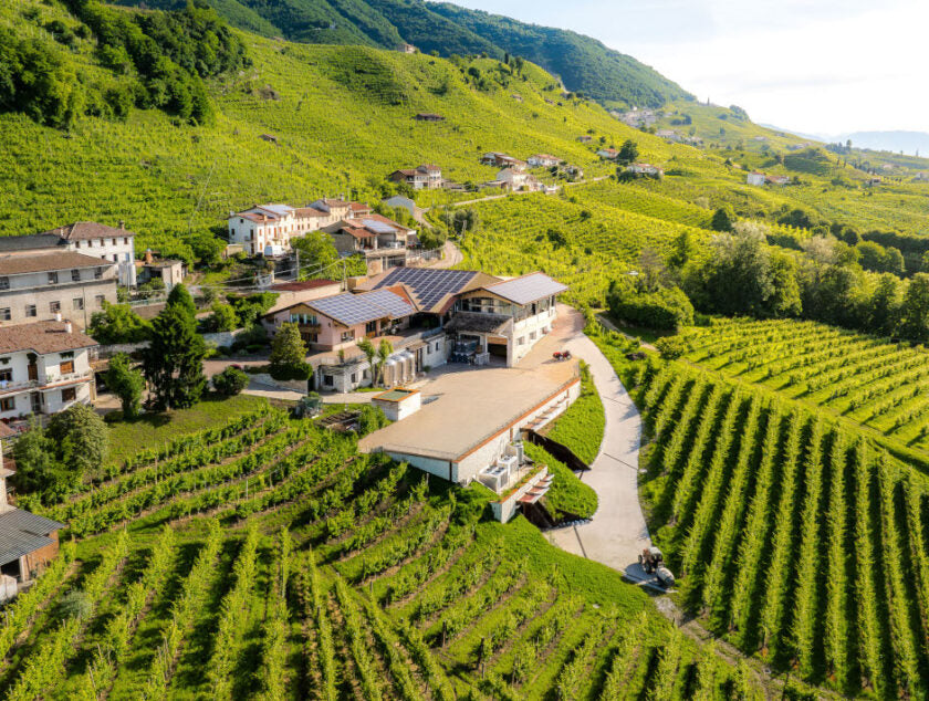 Rebuli - Degustazione e Visita della cantina Veneto Rebulli