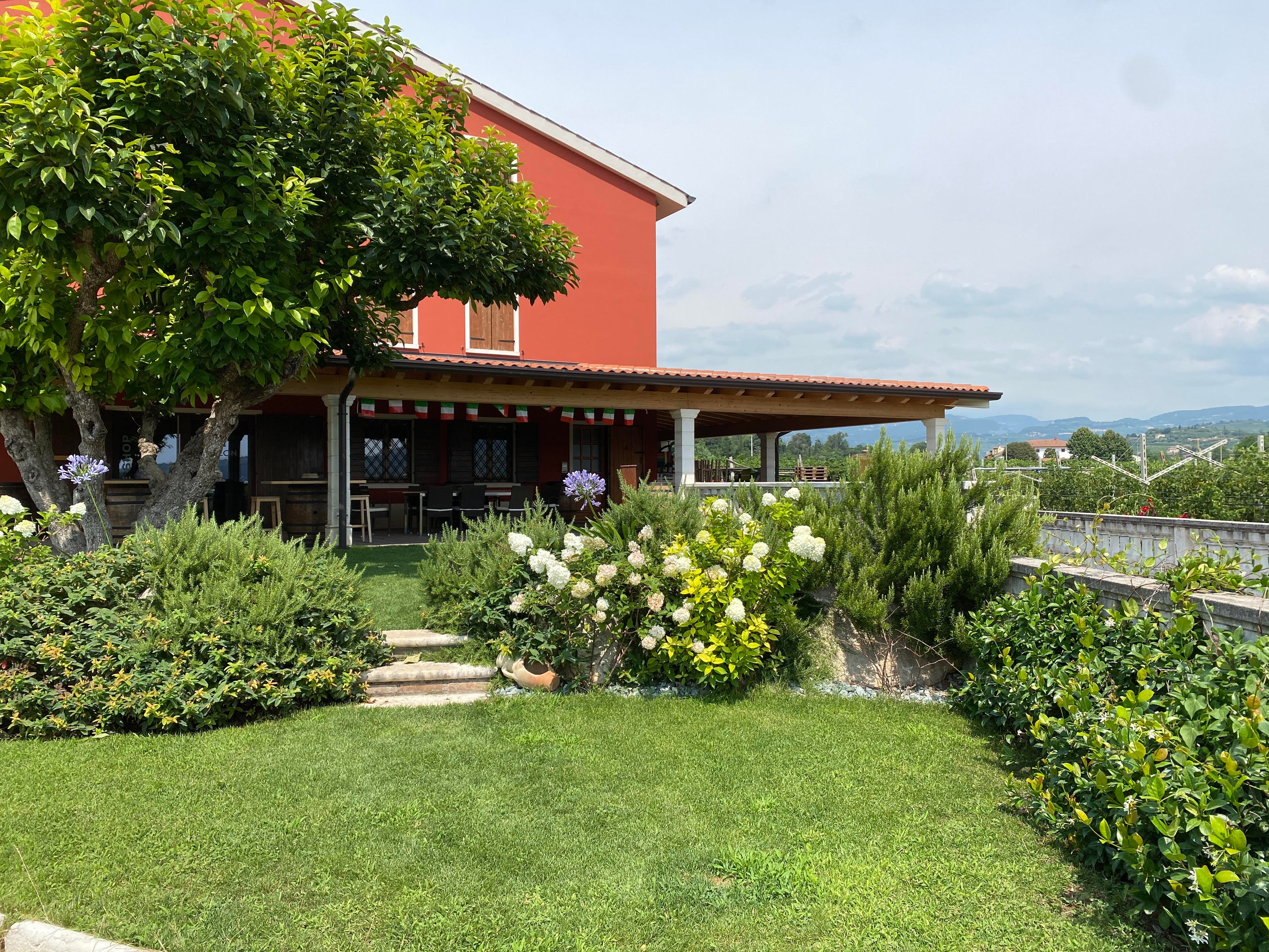 Cantina Mizzon - Amarone Experience Veneto Az.Agr.Mizzon
