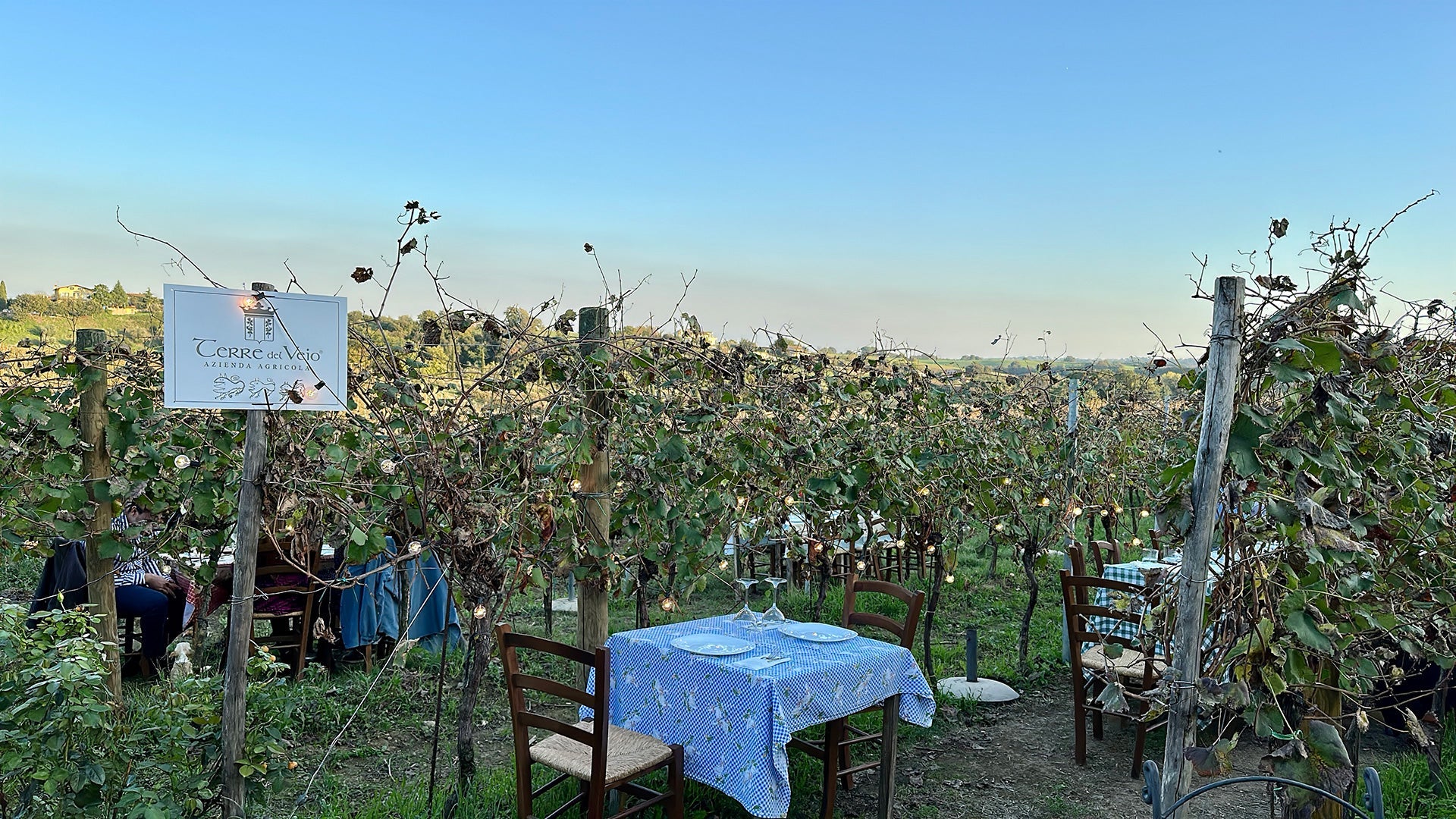 Terre del Veio - Degustazione 5 calici Lazio Terre del Veio
