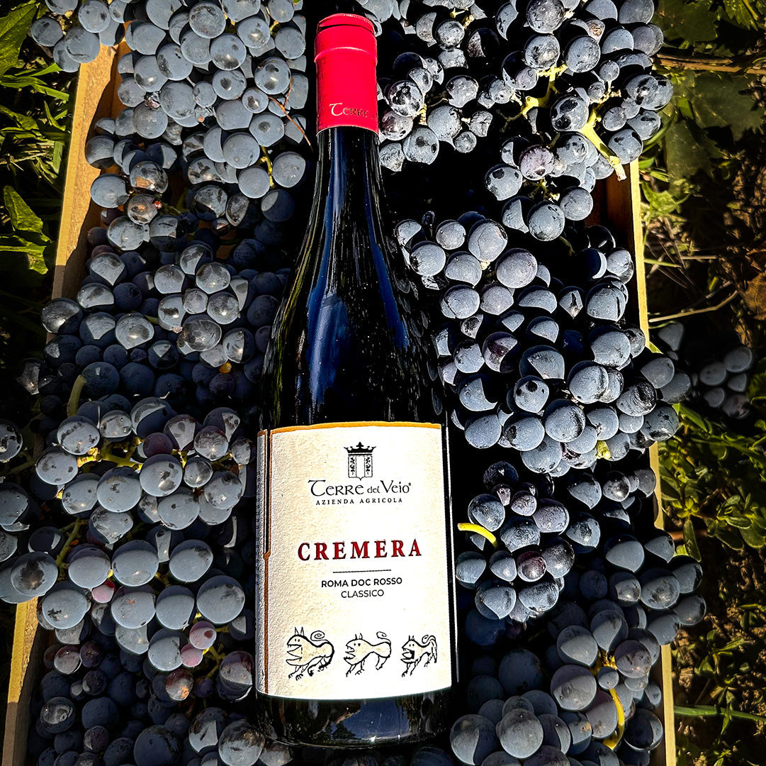 Terre del Veio - Degustazione 5 calici Lazio Terre del Veio