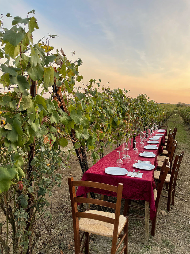 Terre del Veio - Degustazione 5 calici Lazio Terre del Veio