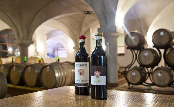 Cantina Roccapesta - Degustazione & Visita Toscana Cantina Roccapesta