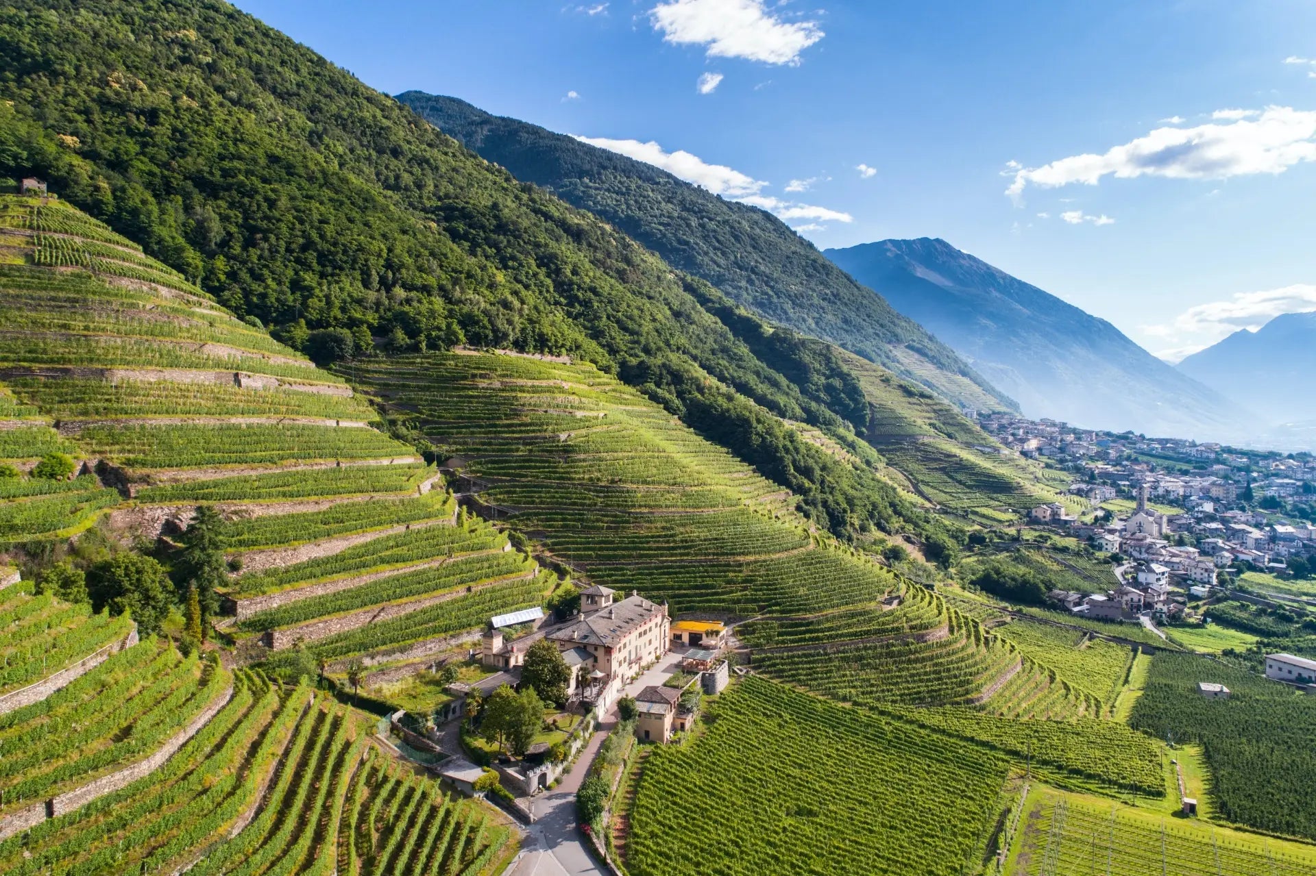 Soggiorno & Degustazione in Wine Resort in Italia Wineries Experience