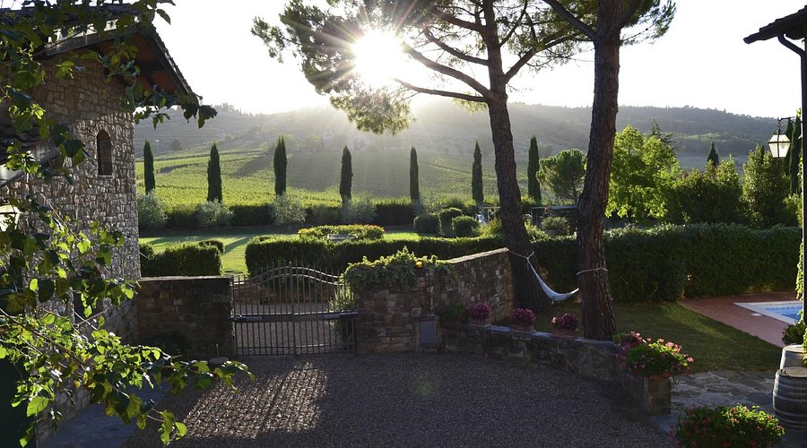 Fattoria Viticcio - Tasting Riserva Toscana Fattoria Viticcio