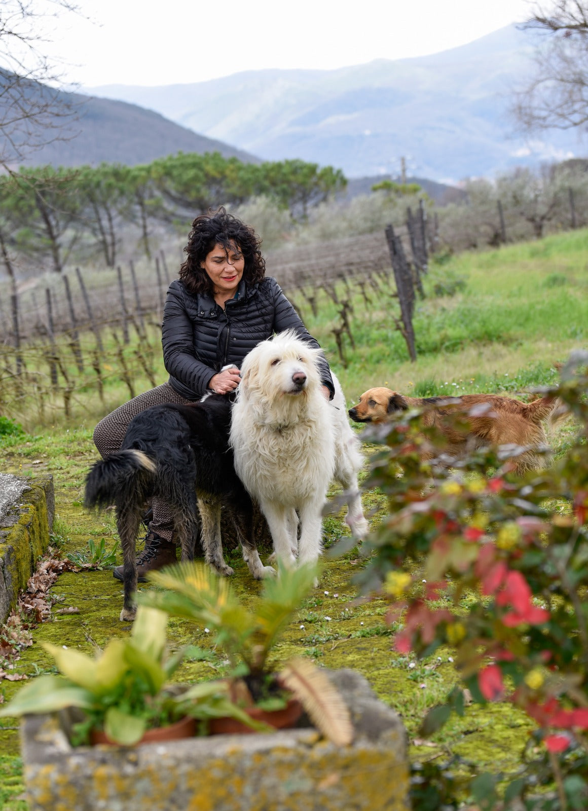 AlePa - Degustazione in Campagna Campania AlePa