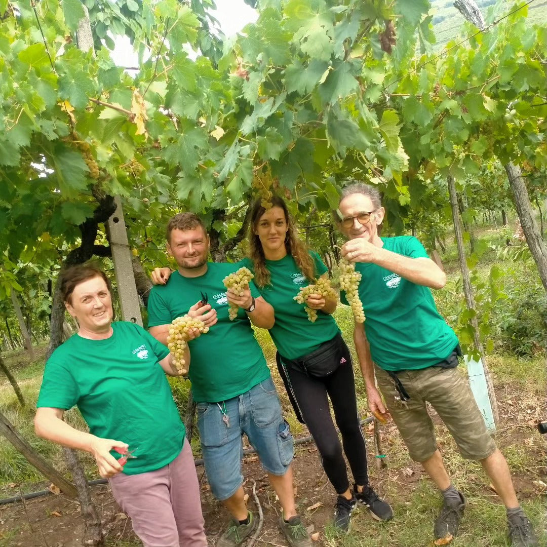 Azienda Agricola Casarotto - Degustazione Media Veneto Azienda Agricola Casarotto
