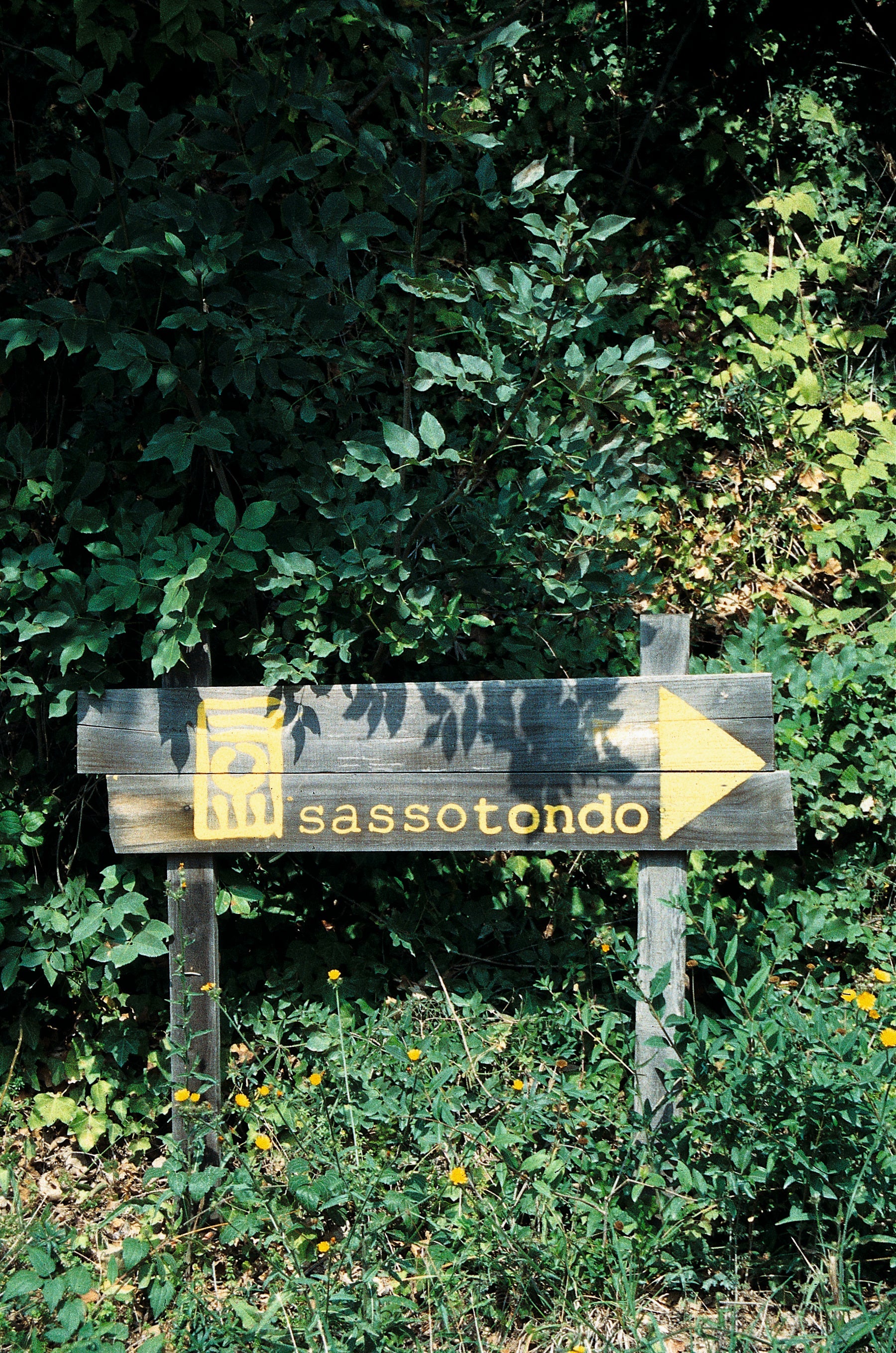Sassotondo - kaos vulcanico Toscana Sassotondo