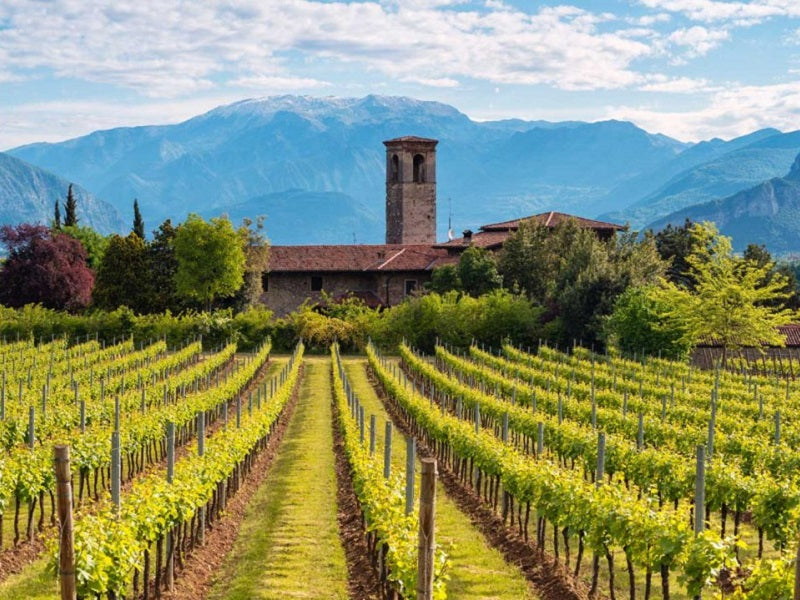 Soggiorno & Degustazione in Wine Resort in Italia Wineries Experience