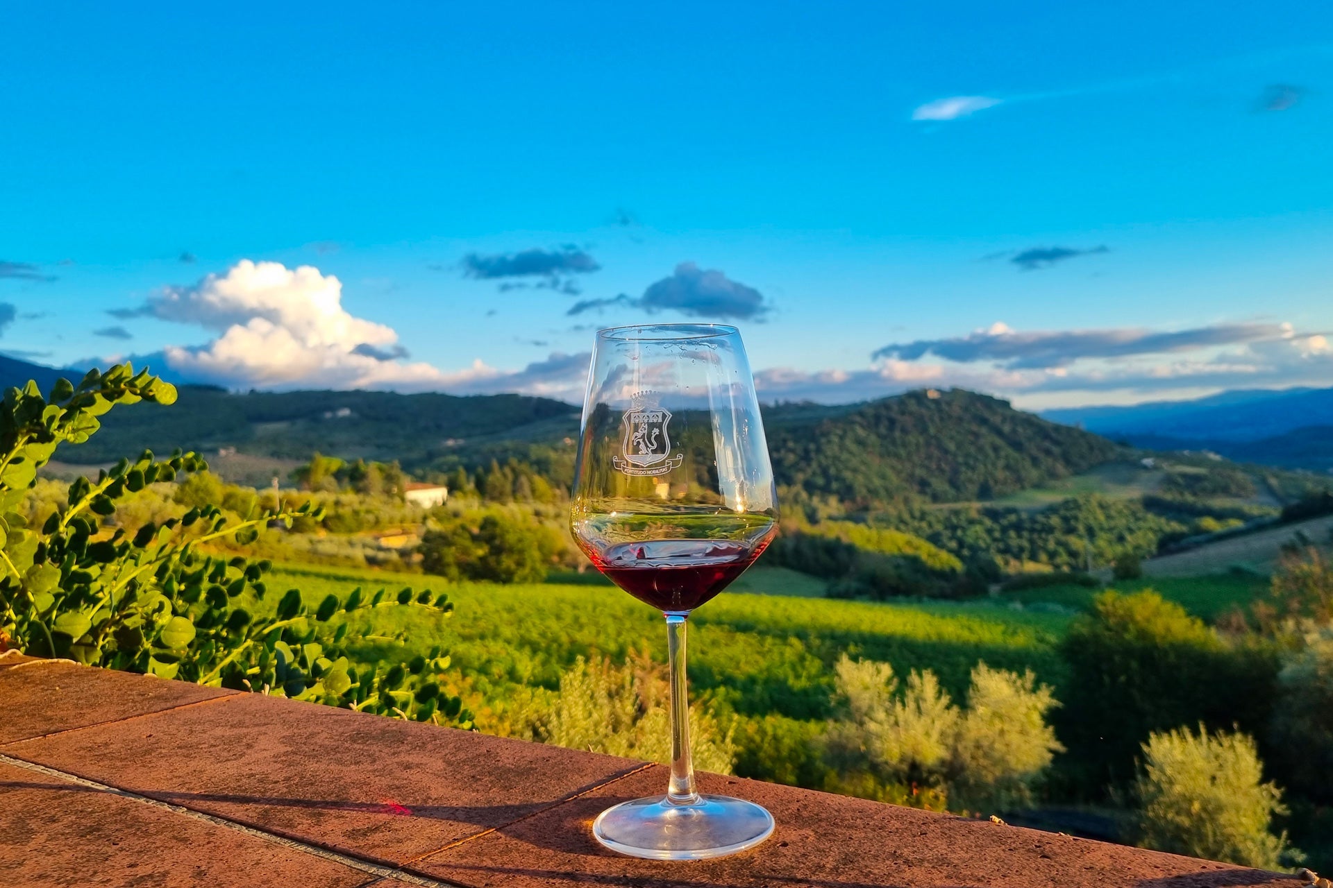Travignoli - Tasting with view Toscana Travignoli
