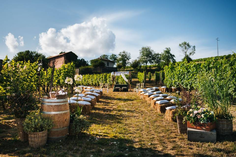 Cascina Binè - Soggiorno & Cena in Cantina Piemonte Cascina Binè