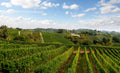 Cantina Pelassa - Degustazione Piemonte Terenzi Wines