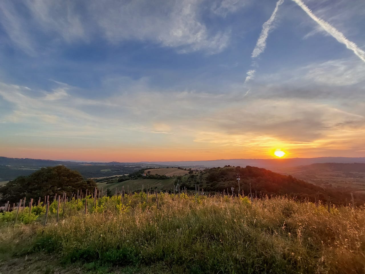 Fattoria La Maliosa - Degustazione e visita della Fattoria Toscana Fattoria La Maliosa