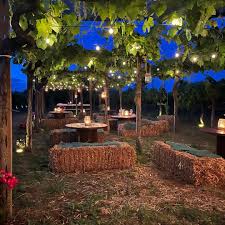 Cantina Costantini - Degustazione Prestige Lazio Cantina Costantini