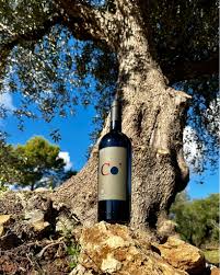 De Quarto - Ars vinifera Puglia De Quarto