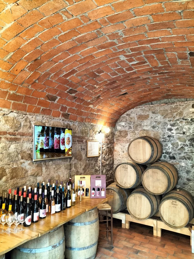 Cantina Costantini - Degustazione Prestige Lazio Cantina Costantini