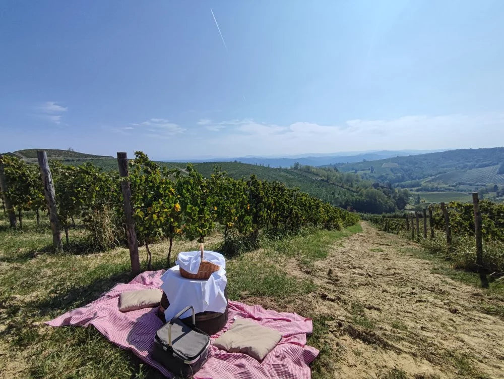 Oddone Prati - Pic Nic nel vigneto Piemonte Oddone Prati