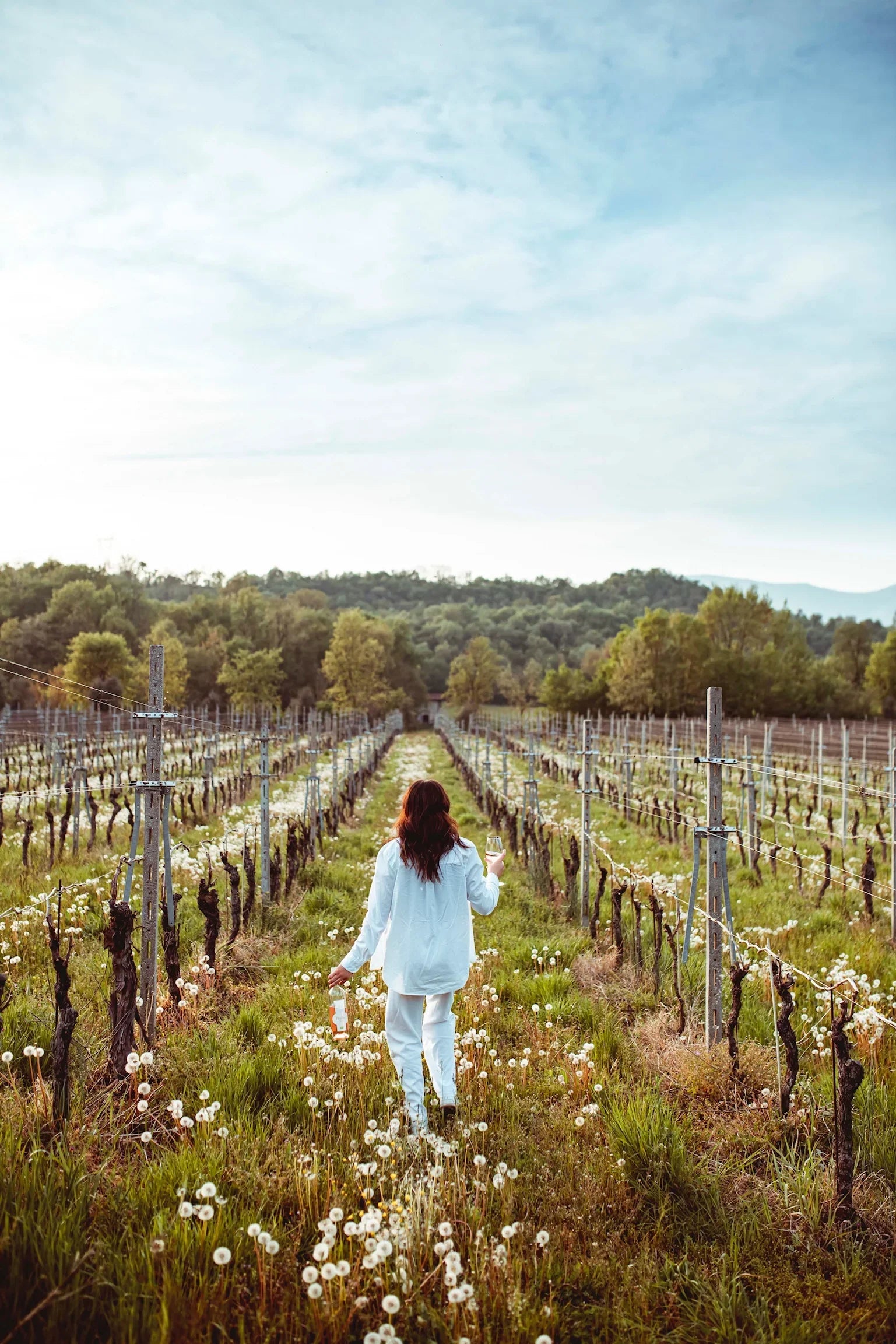 Podere dei Folli - La rivincità del Rosè Veneto Podere dei Folli
