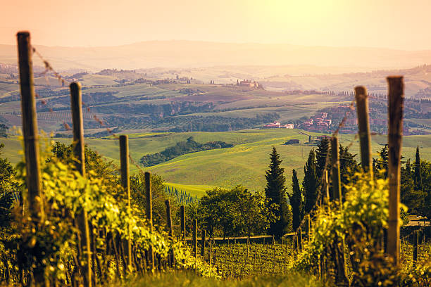 Soggiorno & Degustazione in Wine Resort - Toscana Toscana Toscana