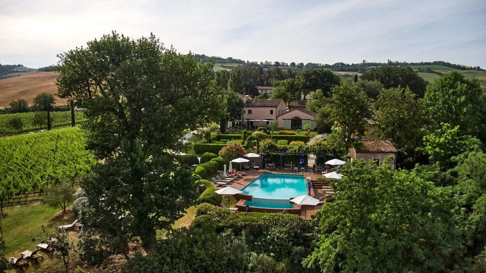Tenuta Santi Giacomo e Filippo - Le Annate Marche Tenuta Santi Giacomo e Filippo