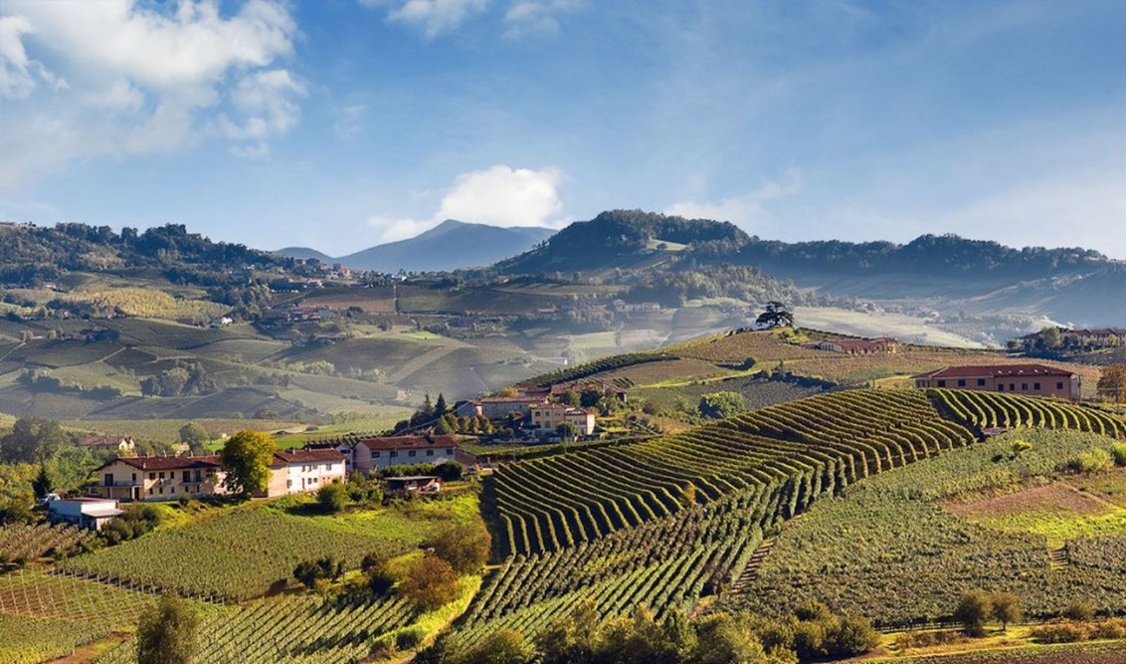 Soggiorno & Degustazione in Wine Resort - Piemonte Piemonte Piemonte